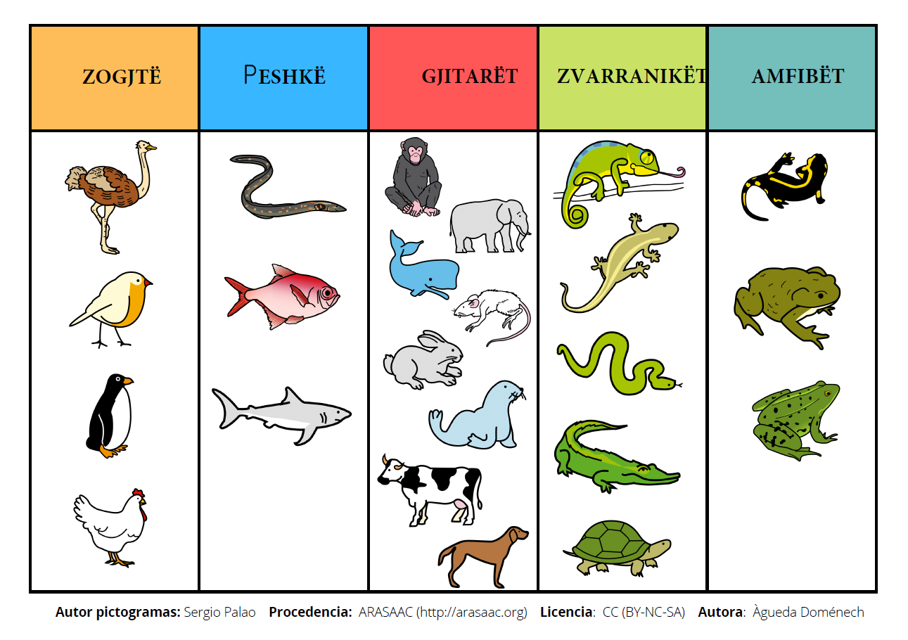 Klasifikimi i kafshëve